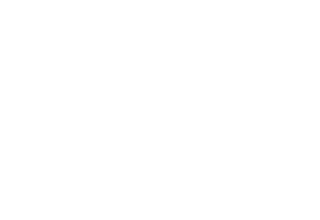 Purabellez Aesthetics Sticker