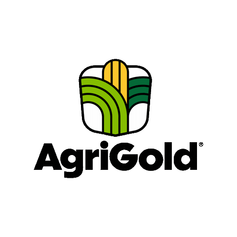 Agriculture Corn Sticker by AgriGold