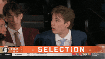 Anaheim Ducks GIF