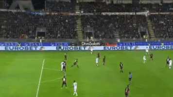 FLC  GIF