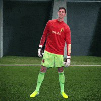 Red Devils Goal Keeper GIF by ING Belgium