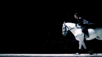 horse