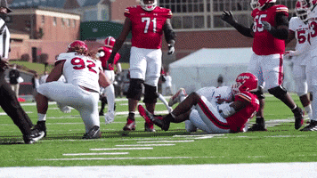 Aaron Lewis Celebration GIF by Rutgers Football
