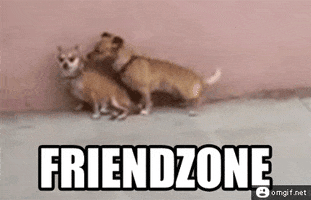 Friendzone GIFs - Get the best GIF on GIPHY