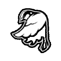 SPARROW SPORT CLUB Sticker