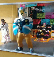 dance mexico GIF by Universidad Veracruzana