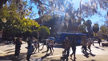 sunny day college GIF by University of Florida