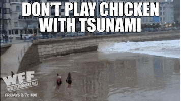 chicken fails GIF by World’s Funniest