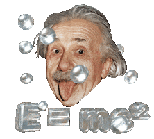 Albert Einstein Text Sticker by Matt Osio