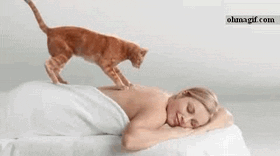 massages relaxing GIF by Cheezburger