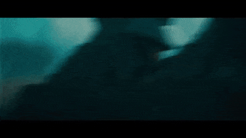 cassidy  GIF