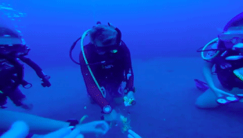 Scuba GIF