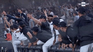 New York Yankees Win GIF by YES Network