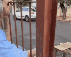 Caio GIF