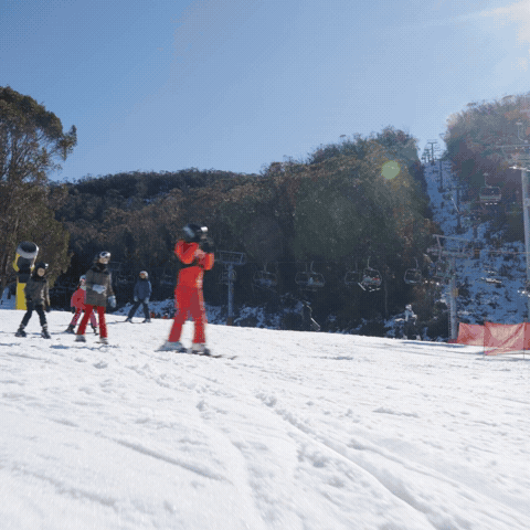 GIF by Thredbo