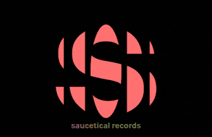 GIF by SAUCETICAL