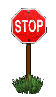 giphy.gif