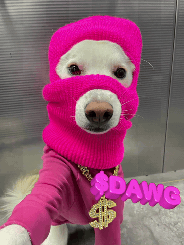 Dawg GIF