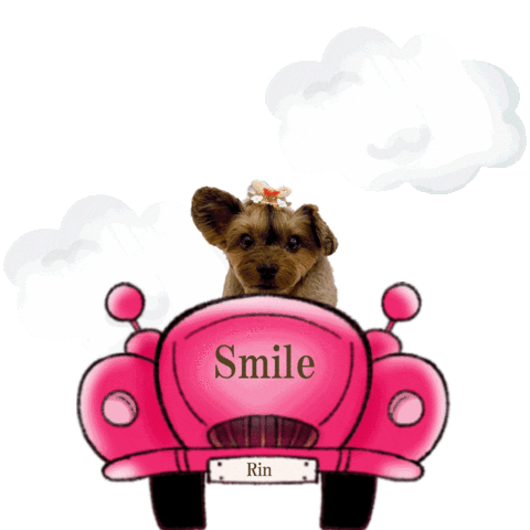 Idoldog Sticker