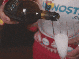 Happy New Year Cheers GIF by Ai Nostri