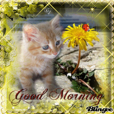 Related image
