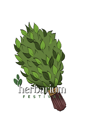 Therme Bucuresti Sticker