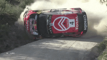 crash rolling GIF by FIA World Rally Championship