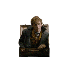 Fantastic Beasts Magic Sticker by Fantastic Beasts: The Crimes of Grindelwald