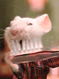 Stuart Little Mouse GIF