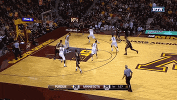 boiledsports  GIF