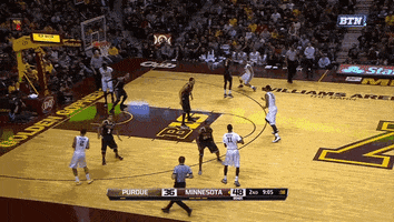 boiledsports  GIF