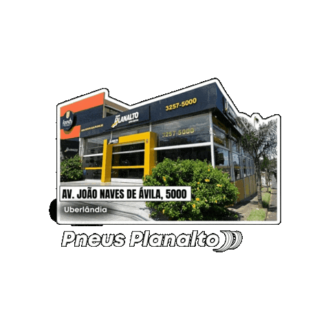 João Naves Sticker by Pneus Planalto