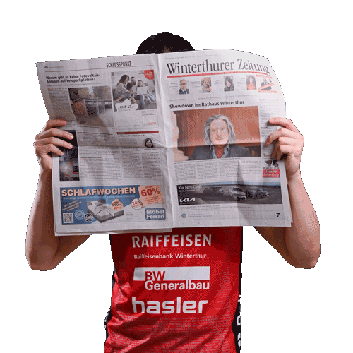 Pfadi Winterthur Handball Sticker