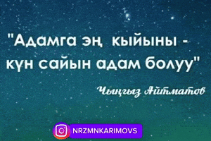 Kyrgyz GIF by Customize iT