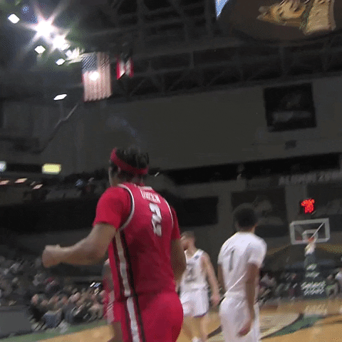 Happy Youngstown State GIF by Horizon League