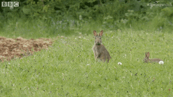 200.gif?cid=fc005b0866f0da12f0eb7e263adf4debd7acf75cd620f2ff&rid=200.gif&ct=g
