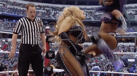 Wrestlemania 32 Wrestling GIF by WWE - Find & Share on GIPHY