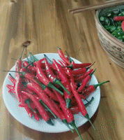 peppers GIF