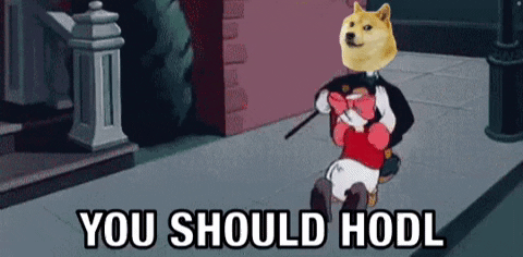 Dogecoin Reaction Gif Contest Begins In This Thread Vote Here Voting Open For 24 Hours U Billymarkus2k