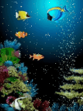 aquarium