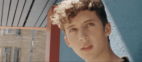 troye sivan GIF by Martin Garrix