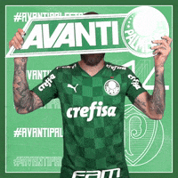 Lucas Lima Soccer GIF by SE Palmeiras