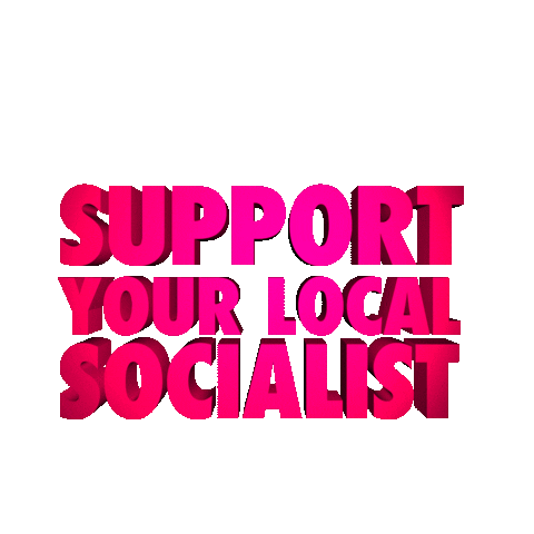 Bernie Socialism Sticker by Ryan Jackson's Big Possum Jamboree