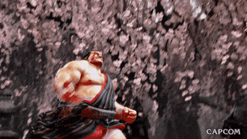 Video Game Sumo GIF by CAPCOM