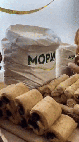 MOPAN GIF