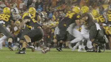Recover College Football GIF by Michigan State Football