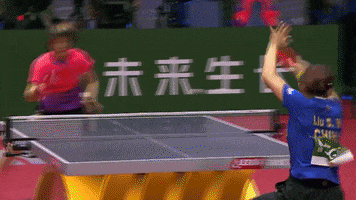 China Celebration GIF by ITTFWorld