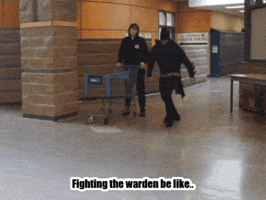 Pumpkinunicorn67 GIF