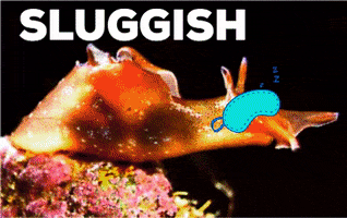 Tired Marine Biology GIF by Massive Science