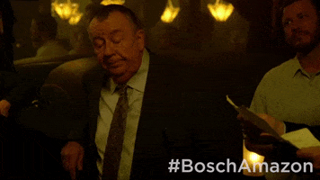 season 5 episdoe 10 GIF by Bosch